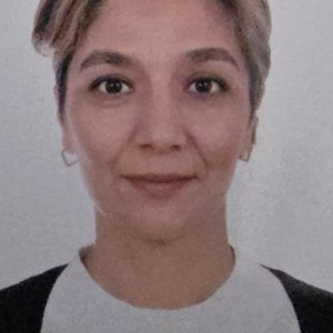 HURIYE METLI