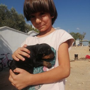 ASYA FIRAT