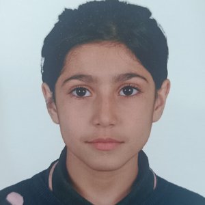 ARİN ZELAL TAŞ